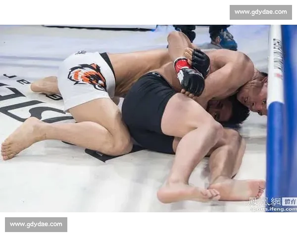 杨建平与孤山信激战正酣 谁能在这场巅峰对决中脱颖而出